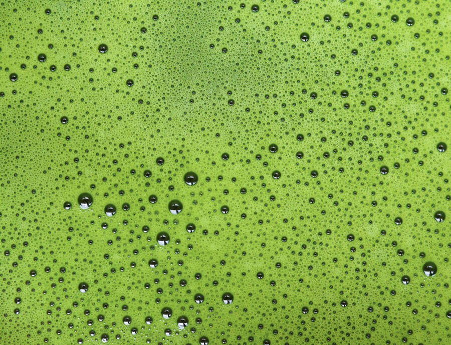 Bienfaits matcha OKO Moments